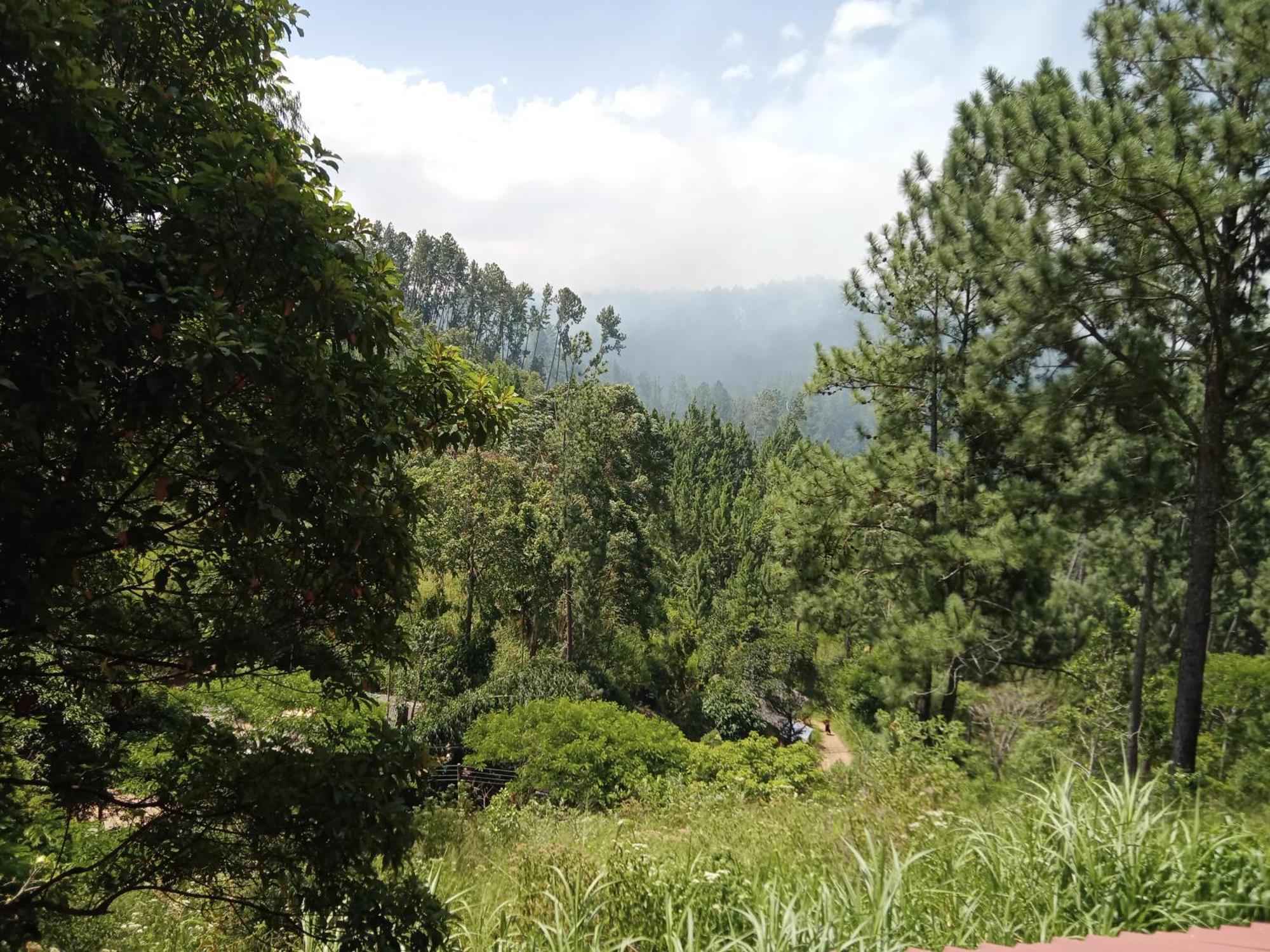 New Rose Villa Bandarawela Ella Exterior foto